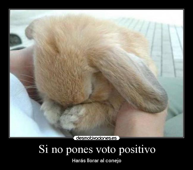 Si no pones voto positivo - 