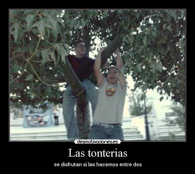 Las tonterias -