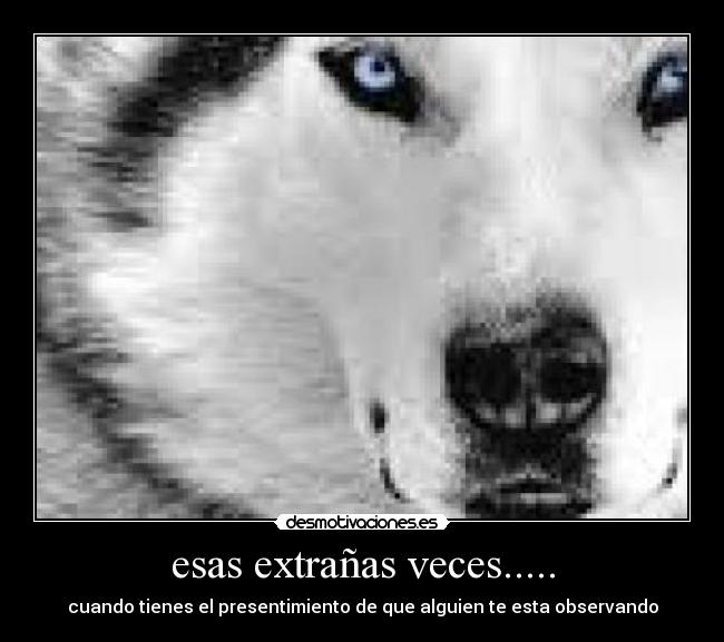 esas extrañas veces..... -