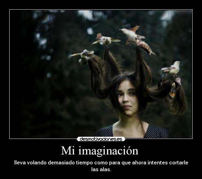 Mi imaginación -
