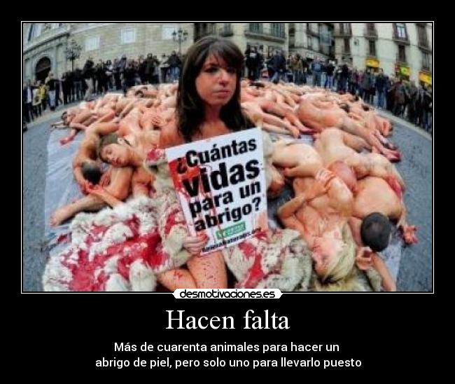 Hacen falta - 