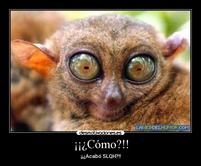 ¡¡¿Cómo?!! - 