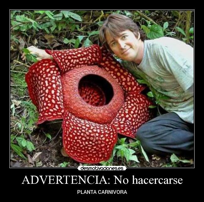 ADVERTENCIA: No hacercarse -