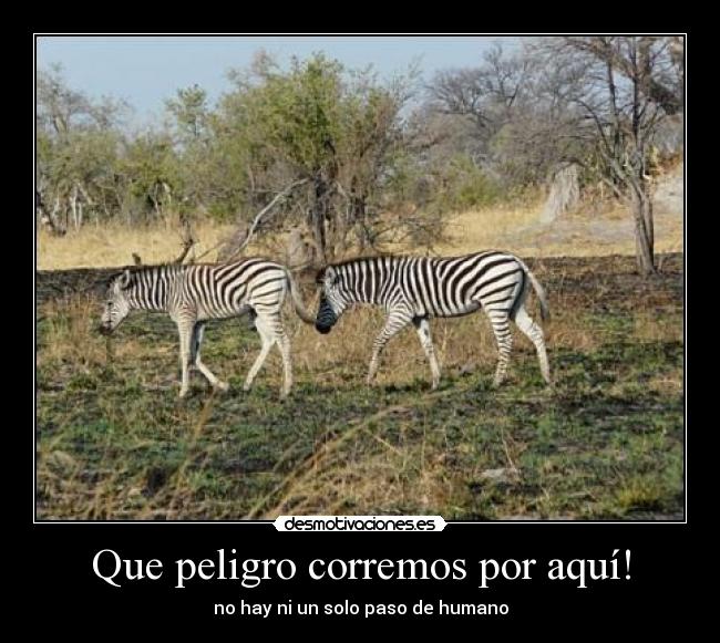 Que peligro corremos por aquí! -