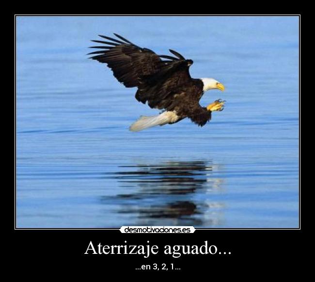 Aterrizaje aguado... - ...en 3, 2, 1...