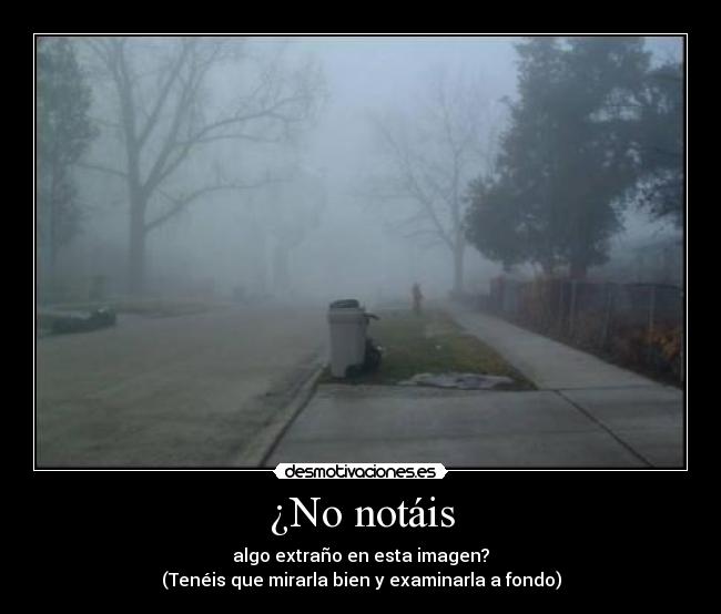 ¿No notáis - algo extraño en esta imagen?
(Tenéis que mirarla bien y examinarla a fondo)