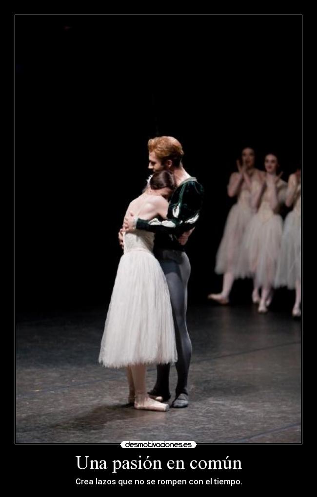 Una pasión en común -