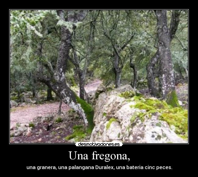 Una fregona, - una granera, una palangana Duralex, una bateria cinc peces.