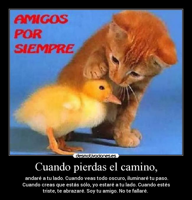 Cuando pierdas el camino, -  andaré a tu lado. Cuando veas todo oscuro, iluminaré tu paso.
Cuando creas que estás sólo, yo estaré a tu lado. Cuando estés
triste, te abrazaré. Soy tu amigo. No te fallaré. 