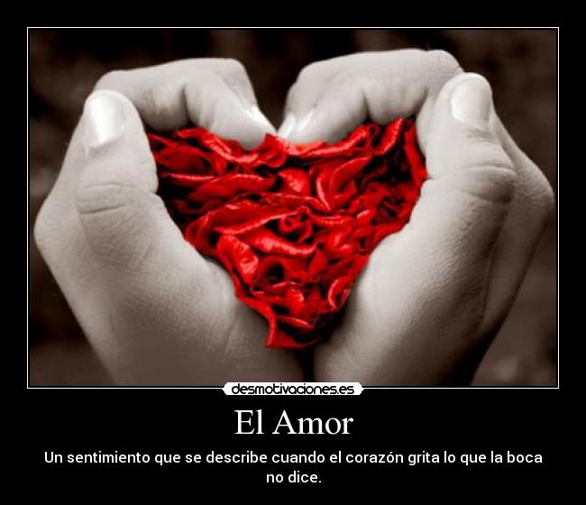 El Amor - 