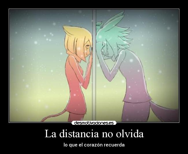 La distancia no olvida - 