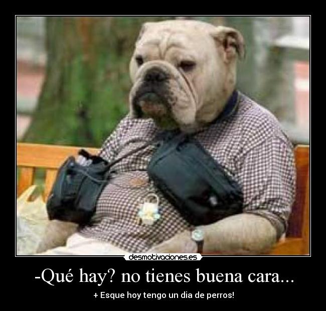 carteles sanny desmotivaciones