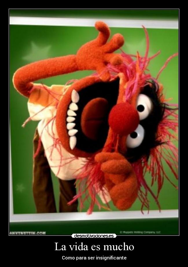 La vida es mucho - Como para ser insignificante