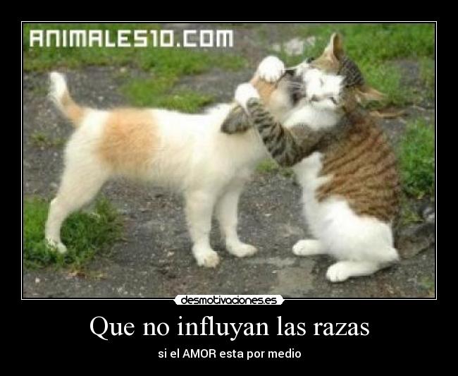 Que no influyan las razas - si el AMOR esta por medio