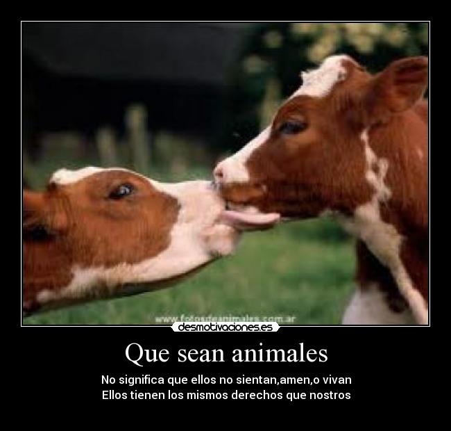 Que sean animales - No significa que ellos no sientan,amen,o vivan
Ellos tienen los mismos derechos que nostros
