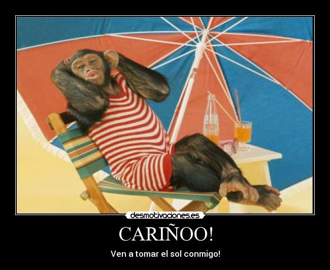 CARIÑOO! - Ven a tomar el sol conmigo!