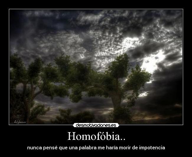 carteles homofobia desmotivaciones