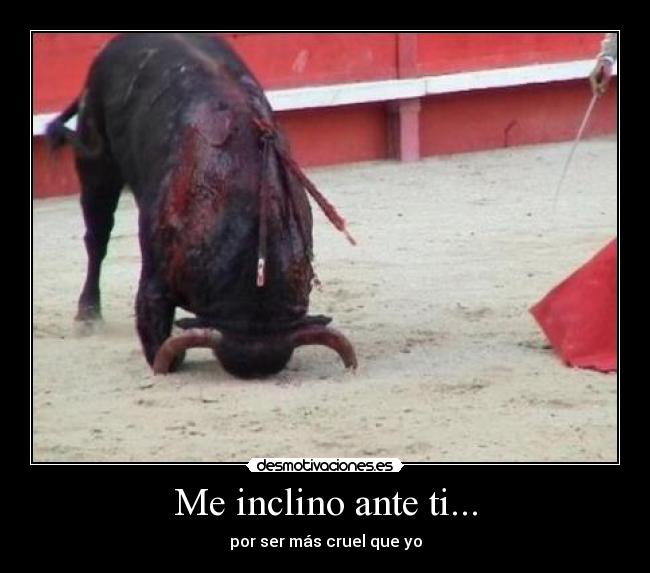 Me inclino ante ti... - 