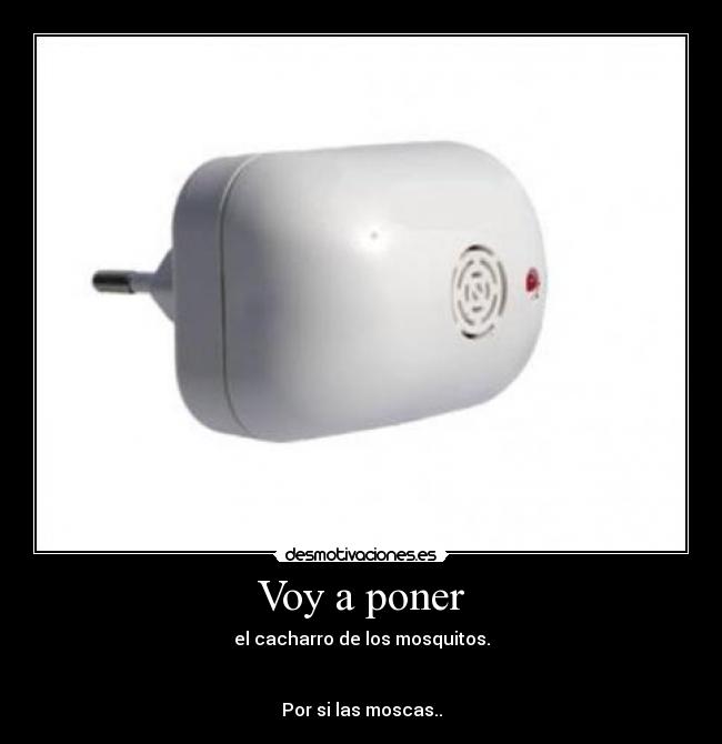 Voy a poner - el cacharro de los mosquitos.
Por si las moscas..