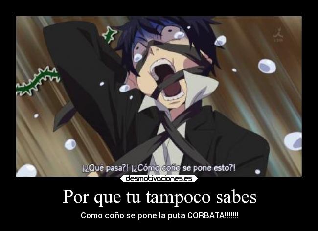 Por que tu tampoco sabes - Como coño se pone la puta CORBATA!!!!!!!