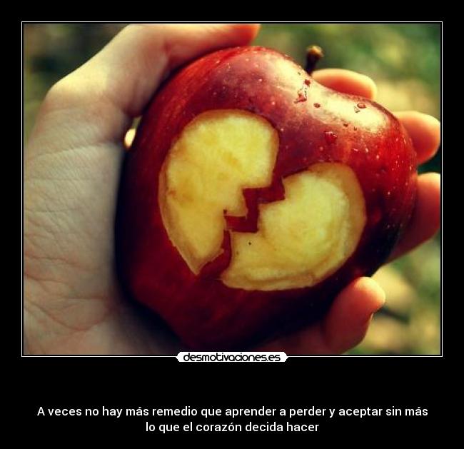   - A veces no hay más remedio que aprender a perder y aceptar sin más
lo que el corazón decida hacer