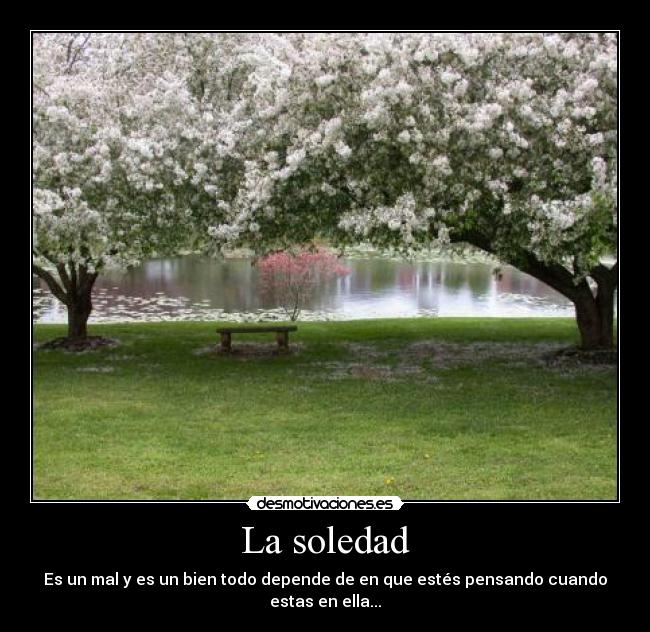 La soledad -