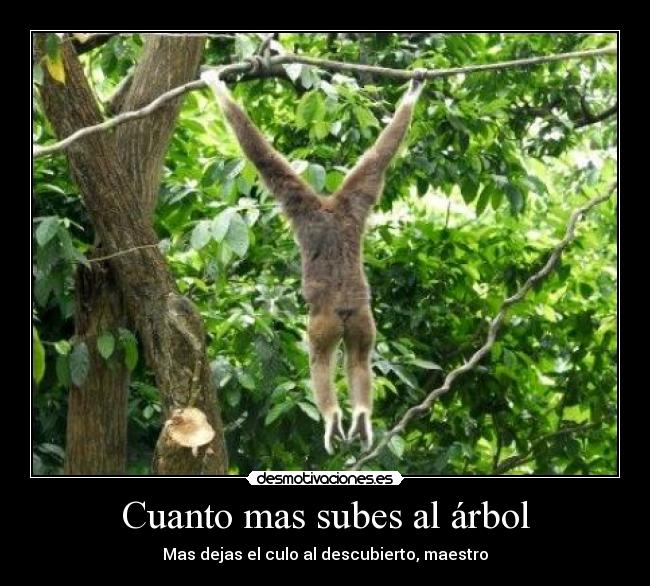 carteles desmotivaciones