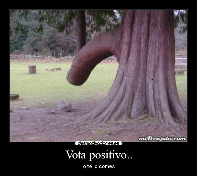 Vota positivo.. - o te lo comes