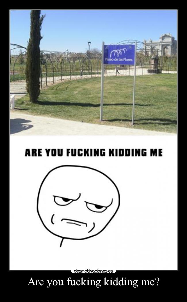 Are you fucking kidding me? -