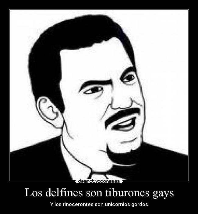 carteles unicornios delfines tiburones gays gordos rinocerontes ser desmotivaciones