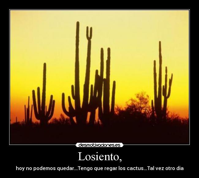 Losiento, - hoy no podemos quedar...Tengo que regar los cactus...Tal vez otro dia