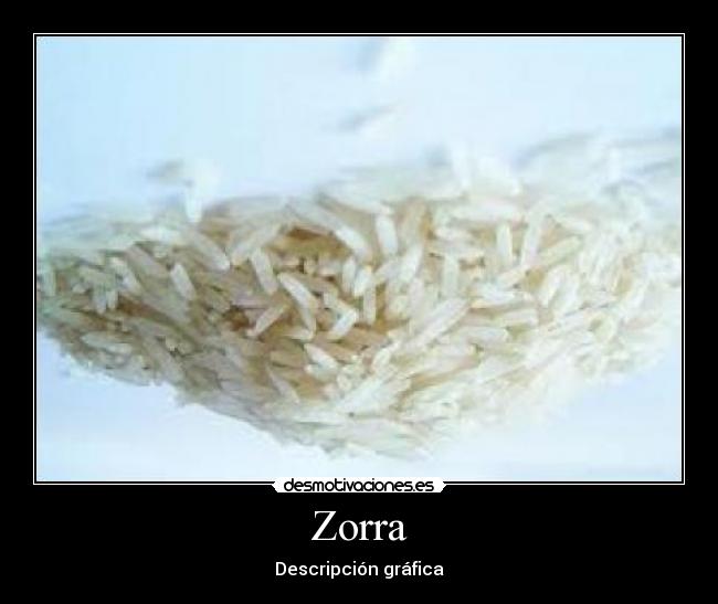 Zorra - 
