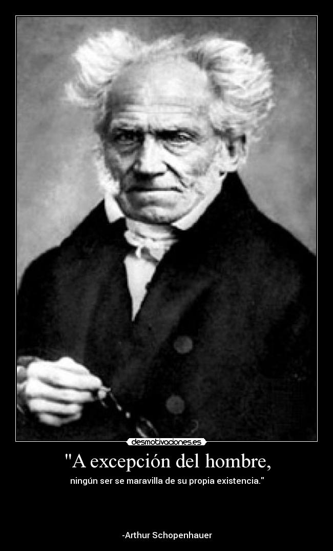 A excepción del hombre, - ningún ser se maravilla de su propia existencia.




-Arthur Schopenhauer