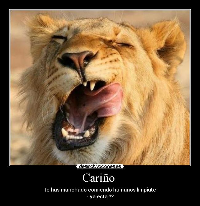 Cariño - te has manchado comiendo humanos límpiate
- ya esta ??