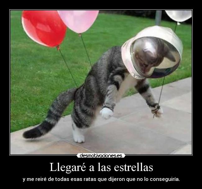 Llegaré a las estrellas - y me reiré de todas esas ratas que dijeron que no lo conseguiría.