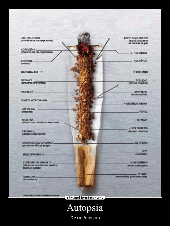 Autopsia - De un Asesino