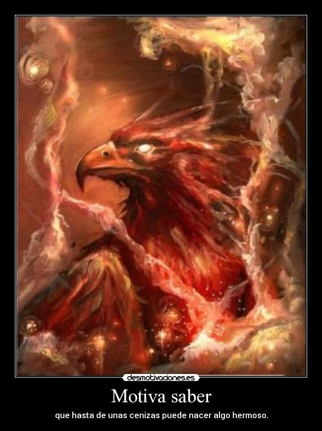 carteles fenix cenizas hermoso desmotivaciones