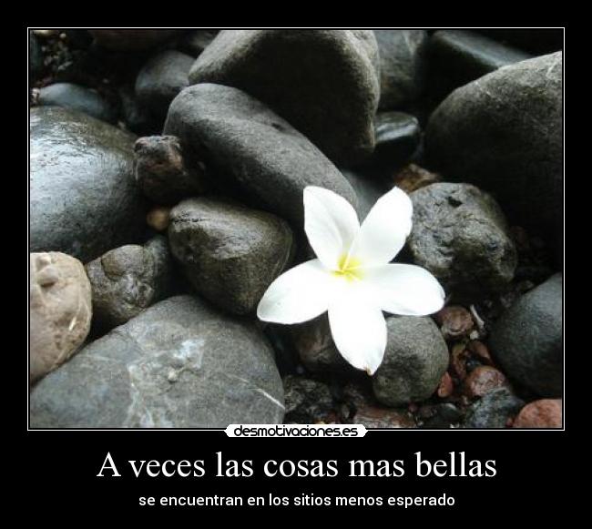 A veces las cosas mas bellas - 