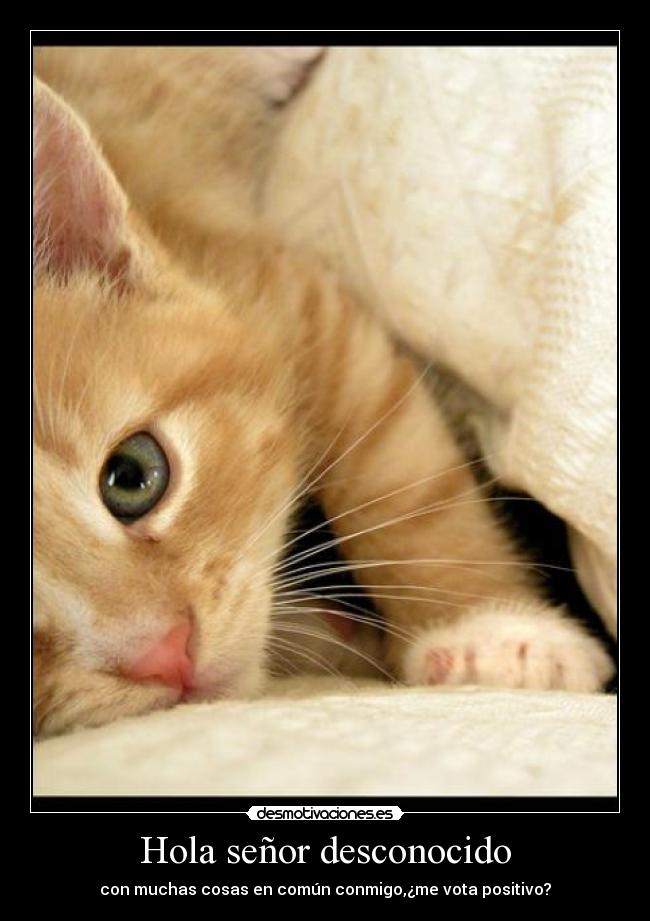 Hola señor desconocido -