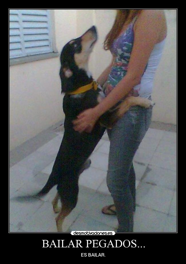 BAILAR PEGADOS... -