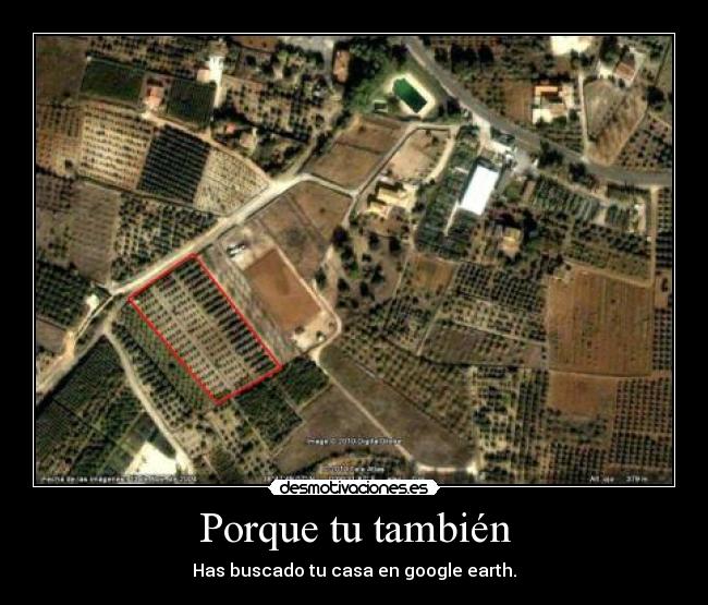 Porque tu también -