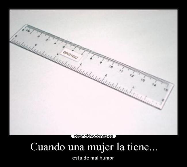 carteles mujer reglamal humor desmotivaciones