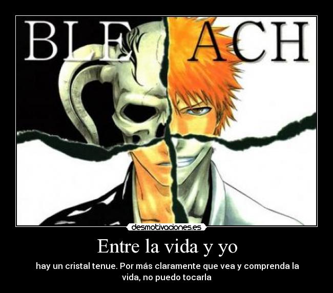 Entre la vida y yo - 