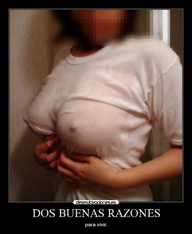 DOS BUENAS RAZONES -