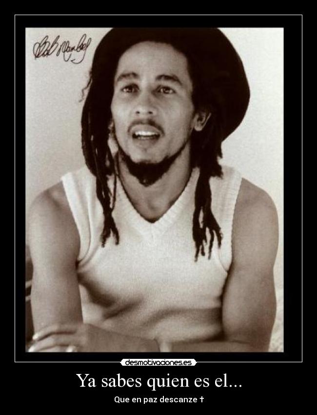 carteles bob marley desmotivaciones