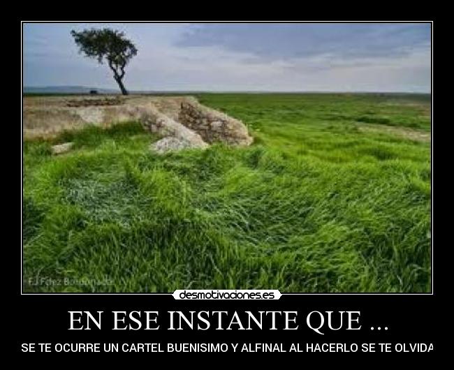 EN ESE INSTANTE QUE ... - SE TE OCURRE UN CARTEL BUENISIMO Y ALFINAL AL HACERLO SE TE OLVIDA