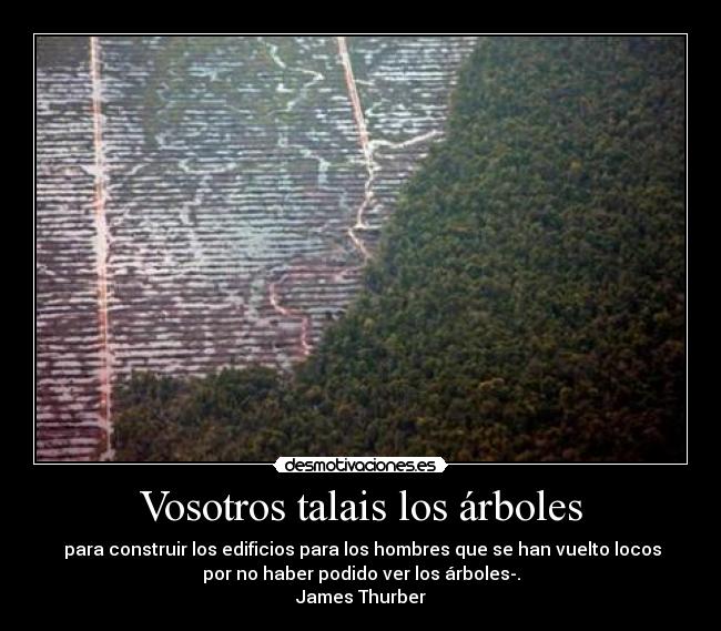 Vosotros talais los árboles -  para construir los edificios para los hombres que se han vuelto locos
por no haber podido ver los árboles-.
James Thurber