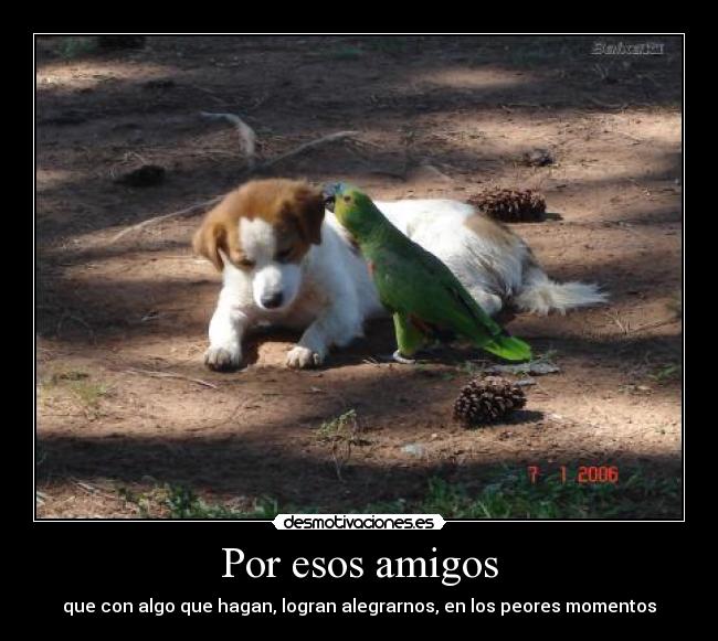 Por esos amigos -