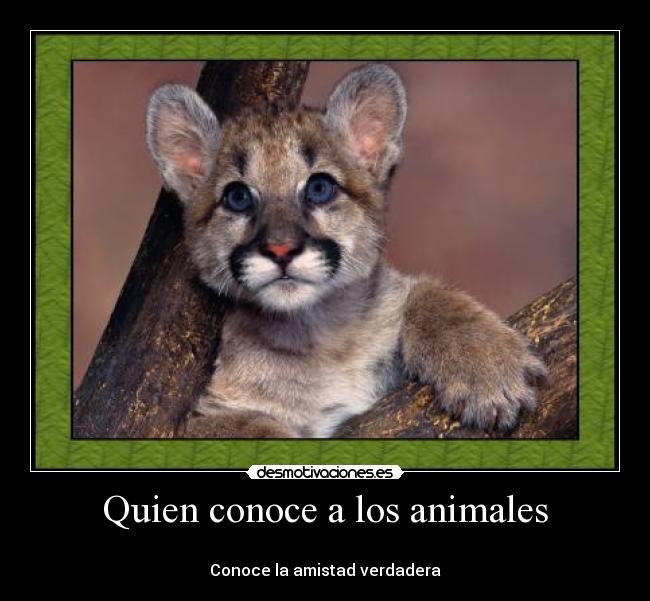 Quien conoce a los animales -
Conoce la amistad verdadera