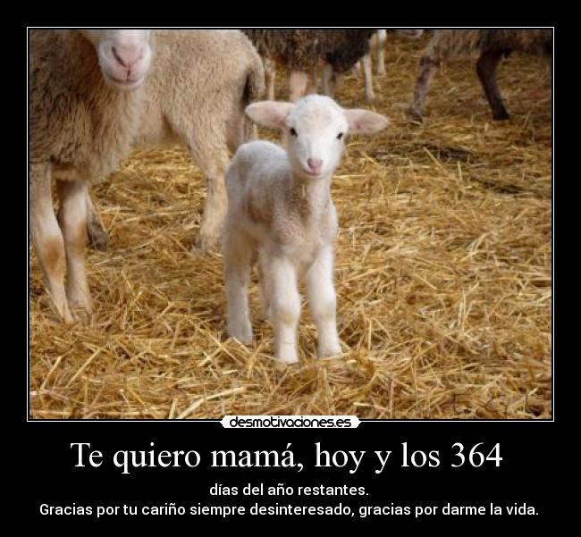 Te quiero mamá, hoy y los 364 - días del año restantes.
Gracias por tu cariño siempre desinteresado, gracias por darme la vida.